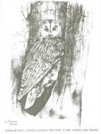 Catalogue d'Oiseaux Vol. 3 