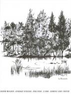 Catalogue d'Oiseaux Vol. 5 