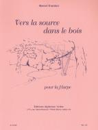Vers La Source Dans Le Bois 