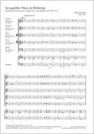 Sei gegrüßet, Maria, du Holdselige 