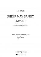 Schafe können sicher weiden 