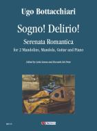 Sogno! Delirio! 