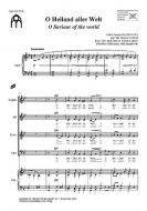 O Heiland aller Welt 