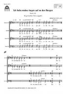 Ich hebe meine Augen auf zu den Bergen 