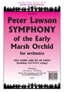 Symphony of Early Marsh Orchid 