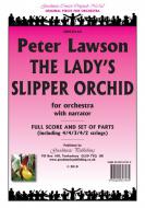 Lady's Slipper Orchid 