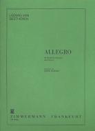 Allegro 