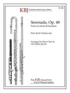 Serenade op. 48 - First Movement 