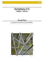 Symphony in C Major - 2 Themes 