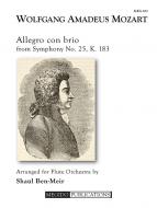 Allegro con brio from Symphony No. 25, K. 183 