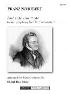 Andante con moto from Symphony No. 8 