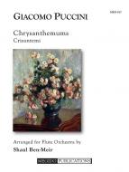 Chrysanthemums 