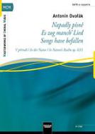 Napadly písne - Es zog manch Lied 