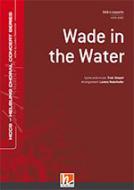 Wade in the Water 