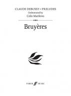 Bruyères (Prelude 14) 