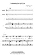 Angels and Shepherds Standard
