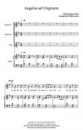 Angelus ad Virginem Standard