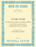 Lautentänze des 16. Jahrhunderts 