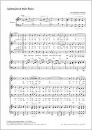 Adoración al niño Jesús Standard