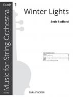 Winter Lights 