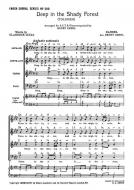 Deep In The Shady Forest 