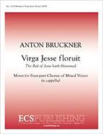 Virga Jesse Floruit (The Rod of Jesse Hath Blossomed) 