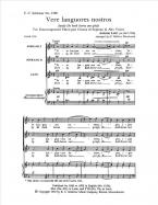 Vere languores nostros 