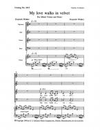 My Love Walks in Velvet 