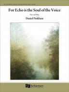 For Echo is the Soul of the Voice 