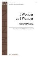 I Wonder as I Wander 
