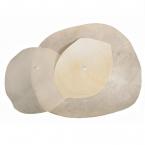 Songs for Women's Voices 