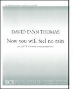Now You Will Feel No Rain 