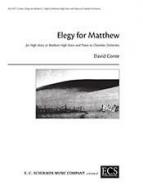 Elegy for Matthew 