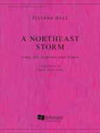A Northeast Storm 