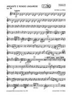 Andante e Rondo Ungarese op. 35 