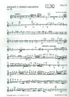 Andante e Rondo Ungarese op. 35 