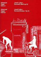 Sonate h-Moll op. 15 