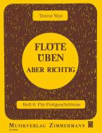 Flöte üben - aber richtig Heft 6 