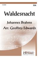 Waldesnacht 