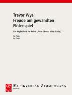 Flöte üben - aber richtig 