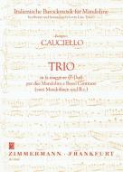 Trio per due Mandolini e Basso Continuo F-Dur 