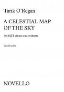 A Celestial Map of The Sky 