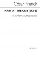 Mary At The Crib (Lethbridge) 