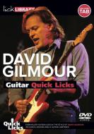 Guitar Quick Licks 