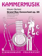 Grand Duo Concertant op. 85 
