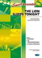 The Lion Sleeps Tonight 