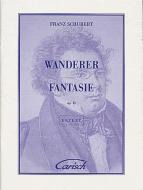 Wanderer Fantasie, Op.15 