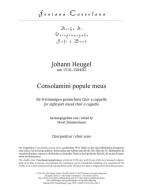 Consolamini popule meus 