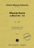 Ouverture Nr. 16 a-Moll op. 238 