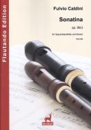 Sonatina op. 99-J 